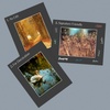 image:imageGolden State Art 15 Pack 12x12 White Picture Mat for 8x8 Photos  White Core Bevel Cut Acid Free 4ply Thick Framing MatsBlack