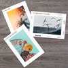 image:imageGolden State Art 15 Pack 12x12 White Picture Mat for 8x8 Photos  White Core Bevel Cut Acid Free 4ply Thick Framing MatsWhite