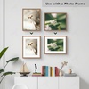 image:imageGolden State Art Pack of 10 White 12x16 Picture Mats Cut for 8x12 Photos  Bevel Cut Acid Free 4ply Thickness White Core  Great for Pictures Photos Frames Artworks PrintsOffWhite