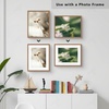 image:imageGolden State Art Pack of 10 White 12x16 Picture Mats Cut for 8x12 Photos  Bevel Cut Acid Free 4ply Thickness White Core  Great for Pictures Photos Frames Artworks PrintsWhite