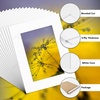image:imageGolden State Art Pack of 10 White 12x16 Picture Mats Cut for 8x12 Photos  Bevel Cut Acid Free 4ply Thickness White Core  Great for Pictures Photos Frames Artworks PrintsWhite