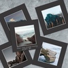 image:imageGolden State Art Pack of 5 White 12x12 Picture Mats for 8x8 Photos  Fits for 75x75 Openings White Core Bevel Cut Acid Free 4Ply Thickness Photo MatBlack