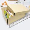 image:imageLineco Archival Photo Card Box MuseumQuality Storage 5x8x12 Inch Tan  AcidFree with Removable Lid MetalEdge Corner Bulk Storage and Preservation for Negatives Prints Films Photos SnapshotTan