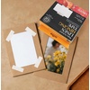 image:imageLineco L5331025 Lineco Gummed Linen Tape 1In X 30Ft  Acid Free Neutral pH Self Adhesive for Artworks Photos Poster and Mats1 in X 150 ft Pack of 1