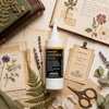 image:imageLineco Neutral pH Adhesive Acid Free Allpurpose Glue White 8 OZ 1 Pack  Dries Clear Remains Flexible Used for Bookbinding and Book Repair Framing Collages Paper Art and Crafts1 Pack