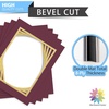 image:imageMat Board Center 5 Pack 11x14 Double Mat for 85x11 Photos Off WhiteGold  Off White Over Gold Double Mat Board Acid Free 8Ply Thickness White Core Bevel Cut for Photos amp Art FramingMaroon Over Gold