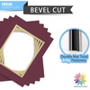 image:imageMat Board Center 5 Pack 11x14 Double Mat for 85x11 Photos Off WhiteGold  Off White Over Gold Double Mat Board Acid Free 8Ply Thickness White Core Bevel Cut for Photos amp Art FramingMaroon Over Gold