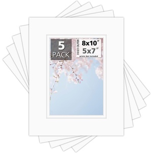 image:imageMat Board Center 5 Pack 11x14 Double Mat for 85x11 Photos Off WhiteGold  Off White Over Gold Double Mat Board Acid Free 8Ply Thickness White Core Bevel Cut for Photos amp Art FramingOff White Over Off White