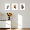 image:imageGolden State Art 25 Pack 11x14 White Picture Mats for 85x11 Photo  Acid Free Photo Mat with 8x105 inch Opening Fit for 85x11 Prints White Core Bevel Cut PreCut Mattes25 Single Mattes