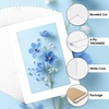 image:imageGolden State Art 50 Pack AcidFree White 5x7 Picture Mat for 4x6 Photo  AcidFreePreCut4Ply Bevel Cut With White Core For 4x6 PhotosPicturesPrintArtwork5x7 25Pack Mattes