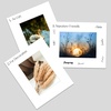 image:imageGolden State Art AcidFree PreCut 8x10 White Picture Mat Sets Includes Pack of 100 White Core Bevel Cut Mats for 5x7 Photos 100 Backing Boards and 100 Crystal Clear Plastic Sleeves Bags