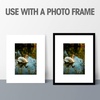 image:imageGolden State Art AcidFree PreCut 8x10 White Picture Mat Sets Includes Pack of 100 White Core Bevel Cut Mats for 5x7 Photos 100 Backing Boards and 100 Crystal Clear Plastic Sleeves Bags