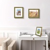 image:imageGolden State Art8x10 Ornate Picture Frame Holds 5x7 PhotoVintage Gold  Includes easel backreal glass frontwhite matbuildin hangers8x10 Decorative photo frame matted to 5x7Desktopwall mountGreen Gold