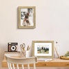 image:imageGolden State Art8x10 Ornate Picture Frame Holds 5x7 PhotoVintage Gold  Includes easel backreal glass frontwhite matbuildin hangers8x10 Decorative photo frame matted to 5x7Desktopwall mountVintage Gold