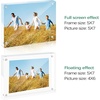 image:image5 Pack 5x7 Clear Acrylic Picture Frame Acrylic Front Tabletop Display  Tabletop Display Photo Art or Print Display Acrylic Picture Frame5x7