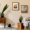 image:imageGolden State Art 2 Pack 11x14 Photo Frame Mat for 8x10 Real Glass  Bronze  White Mat Fits 8x10 Picture Art Poster or Print DisplayOrnate Finish Style 15 Inch Frame Border Wall Mount DisplayBronze Gold