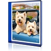 image:imageGolden State Art 5x7 Acrylic Floating Picture Frame Blue 1 Pack  Individual Photo Frame for Tabletop Display With Hangers for Wall Mount Horizontal or VerticalBlue