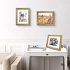 image:imageGolden State Art13x19 Ornate Picture Frame Holds 11x17 PhotoBlack Gold  Includes HD plexiglass frontwhite matbuildin hangers and buttons13x19 Decorative photo frame matted to 11x17Wall mountVintage Gold