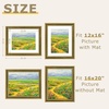 image:imageGolden State Art16x20 Ornate Picture Frame Holds 12x16 PhotoGreen Gold  Includes HD plexiglass frontwhite matbuildin hangers and buttons16x20 Decorative photo frame matted to 12x16Wall mountGreen Gold