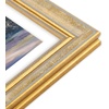 image:imageGolden State Art8x10 Collage Picture Frame Holds Two 4x6 PhotosPink Gold  Includes easel backHD plexiglass frontbuildin hangers and buttonsDesktopwall mount8x10 Decorative photo frame10 PacksVintage Gold
