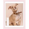 image:image12x16 Picture Frame with Mat for 11x14 Picture Dark Brown 1 Pack  Shatter Resistant Plexiglass  Engineered Wood Poster Frame for 30x40 cm Art Prints Wall MountingPink