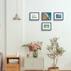 image:imageGolden State Art 16x24 Blue Picture Frame Mat for 12x18 Real Glass  Wall Mount Display Horizontally or Vertically Photo Art Poster or Print Display Blue Frame FinishBlue