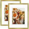 image:imageGolden State Art 16x24 Blue Picture Frame Mat for 12x18 Real Glass  Wall Mount Display Horizontally or Vertically Photo Art Poster or Print Display Blue Frame FinishGold