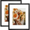 image:imageGolden State Art 16x24 Blue Picture Frame Mat for 12x18 Real Glass  Wall Mount Display Horizontally or Vertically Photo Art Poster or Print Display Blue Frame FinishBlack