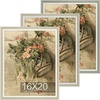image:imageGolden State Art 3 Pack 8x10 Dark Gray Picture Frame Wall Mount  Farmhouse Rustic Photo Frame with HD Plastic Cover for Wall HangingDark Gray  Light Gray  Beige