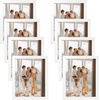 image:imageGolden State Art 4x6 Picture Frames Set of 8 White  Family Frames Set with Plexiglass for Wall or Tabletop Horizontal or Vertical DisplaysWhite
