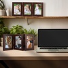 image:imageGolden State Art 5x7 Triple Picture Frame Light Grey Real Glass 1 Pack  Trifold Photo Frame Vertical Display for Desktop  Three Folding Picture CollageBrown