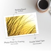 image:imageGolden State Art 5x7 White Backing Board 10 Pack Backer Boards for Prints  4Ply Thickness Uncut Matte Cardboard Ideal for Art Prints Carfts Photos Framing Back support12x18