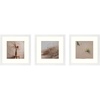 image:imageGolden State Art Picture Frame to Display Photos with Ivory Mat Swivel Tabs Glass Wide Molding Collage Square Frames Wall Display  HorizontalVertical White 12x12 Frame for 8x8 Photo 9PackWhite