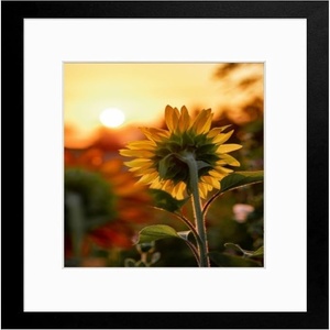 image:image12x16 Picture Frame with Mat for 11x14 Picture Dark Brown 1 Pack  Shatter Resistant Plexiglass  Engineered Wood Poster Frame for 30x40 cm Art Prints Wall MountingBlack
