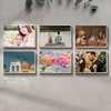 image:image2 Pack 11x14 Picture Frames in Brown Real Glas Wall Mount Display  Wide Molding 11 by 14 Photo Frame with Back Hangers Country Wood Grain Style Great for Photos Gift Pictures WeddingWhite