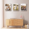 image:image2 Pack 11x14 Picture Frames in Brown Real Glas Wall Mount Display  Wide Molding 11 by 14 Photo Frame with Back Hangers Country Wood Grain Style Great for Photos Gift Pictures WeddingWhite