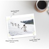 image:imageGolden State Art 8x12 Picture Mat Matte Backerboards for Framing 50 Pack  White Backing Boards for Art Prints Photos Crafts and DIY Projects6x8