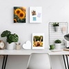 image:imageGolden State Art 9x12 Self Adhesive White Foam Boards 316 Thick 10 Pack  One Side Adhesive WarpResistant Acid Free Lightweight but Sturdy For Projects Pictures Decorations amp Craft Display9x12