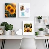 image:imageGolden State Art 9x12 Self Adhesive White Foam Boards 316 Thick 10 Pack  One Side Adhesive WarpResistant Acid Free Lightweight but Sturdy For Projects Pictures Decorations amp Craft Display12x16