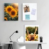 image:imageGolden State Art 9x12 Self Adhesive White Foam Boards 316 Thick 10 Pack  One Side Adhesive WarpResistant Acid Free Lightweight but Sturdy For Projects Pictures Decorations amp Craft Display16x20