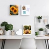 image:imageGolden State Art 9x12 Self Adhesive White Foam Boards 316 Thick 10 Pack  One Side Adhesive WarpResistant Acid Free Lightweight but Sturdy For Projects Pictures Decorations amp Craft Display8x10