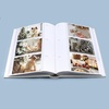 image:imagePhoto Album Hold 300 4x6 Photos with Memo Writing Space CreamCream