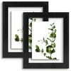 image:imageGolden State Art 11x14 Floating Picture Frame Solid Wood Black2 Pack  Pressed Flower Frame Tempered Glass Front Plexiglass Backdisplay Photo 5x7 to 11x14wall mountingdual hanging orientationBlack