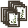 image:imageGolden State Art 11x14 Floating Picture Frame Solid Wood Black2 Pack  Pressed Flower Frame Tempered Glass Front Plexiglass Backdisplay Photo 5x7 to 11x14wall mountingdual hanging orientationDark Brown