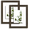 image:imageGolden State Art 11x14 Floating Picture Frame Solid Wood Black2 Pack  Pressed Flower Frame Tempered Glass Front Plexiglass Backdisplay Photo 5x7 to 11x14wall mountingdual hanging orientationDark Brown
