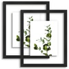 image:imageGolden State Art 11x14 Floating Picture Frame Solid Wood Black2 Pack  Pressed Flower Frame Tempered Glass Front Plexiglass Backdisplay Photo 5x7 to 11x14wall mountingdual hanging orientationBlack