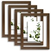 image:imageGolden State Art 11x14 Floating Picture Frame Solid Wood Black2 Pack  Pressed Flower Frame Tempered Glass Front Plexiglass Backdisplay Photo 5x7 to 11x14wall mountingdual hanging orientationBrown