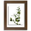 image:imageGolden State Art 11x14 Floating Picture Frame Solid Wood Black2 Pack  Pressed Flower Frame Tempered Glass Front Plexiglass Backdisplay Photo 5x7 to 11x14wall mountingdual hanging orientationBrown