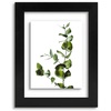 image:imageGolden State Art 11x14 Floating Picture Frame Solid Wood Black2 Pack  Pressed Flower Frame Tempered Glass Front Plexiglass Backdisplay Photo 5x7 to 11x14wall mountingdual hanging orientationBlack