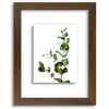 image:imageGolden State Art 11x14 Floating Picture Frame Solid Wood Black2 Pack  Pressed Flower Frame Tempered Glass Front Plexiglass Backdisplay Photo 5x7 to 11x14wall mountingdual hanging orientationBrown